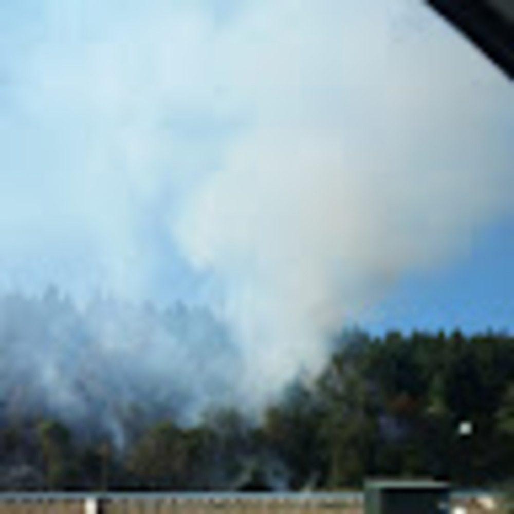 Meet your Posher, Sammy